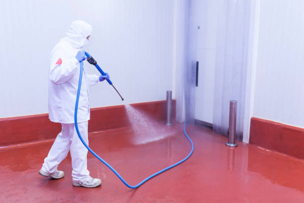 Best Graffiti Removal  in Lenexa, KS